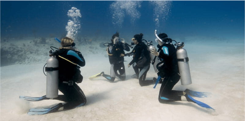 Playa del Carmen: Scuba Diver Certification Course - Final Thoughts