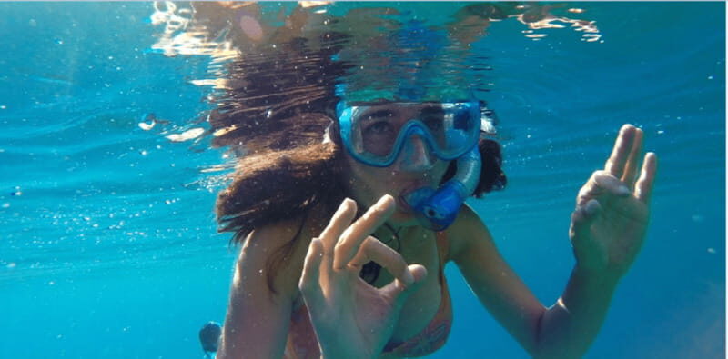 Playa del Carmen: Snorkel Tour at Local Reef - The Breakdown of the Itinerary