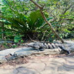 Playa del Carmen: Tour to Chichén Itzá and Valladolid - An In-Depth Look at the Tour Experience