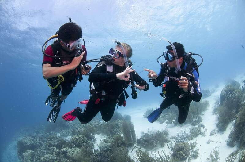 Playa del Carmen: Ultimate PADI Open Water Diver Experience - An In-Depth Look at the Playa del Carmen PADI Open Water Course