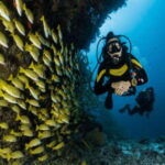 Playa: Dive in Cozumel - Practical Tips for Travelers
