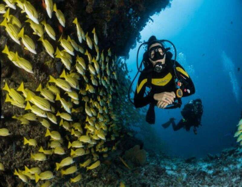 Playa: Dive in Cozumel - Practical Tips for Travelers