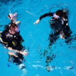 Playa: Diving Local Reef - The Real Experience: What to Expect from the Diving Local Reef Tour