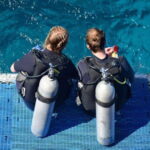 Playa: Night Dive - Who Should Consider This Tour?