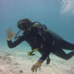 Playa: Wreck Dive - What to Expect: Underwater Exploration and Marine Encounters