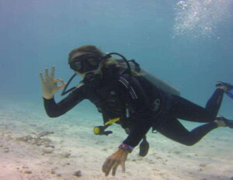 Playa: Wreck Dive - What to Expect: Underwater Exploration and Marine Encounters