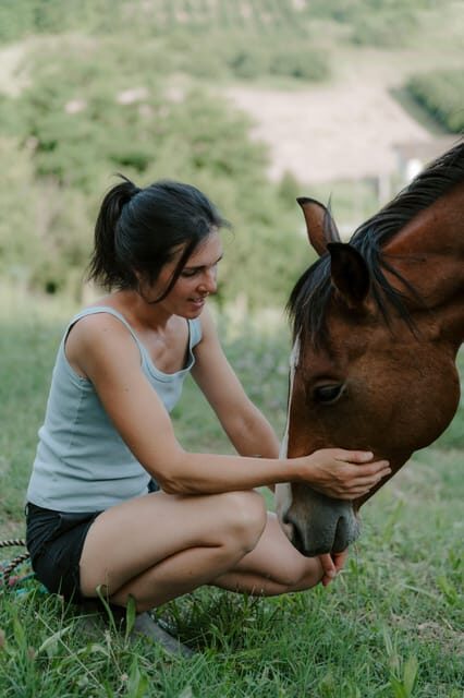 Playful Activities with Animals - Who Will Love This Experience?