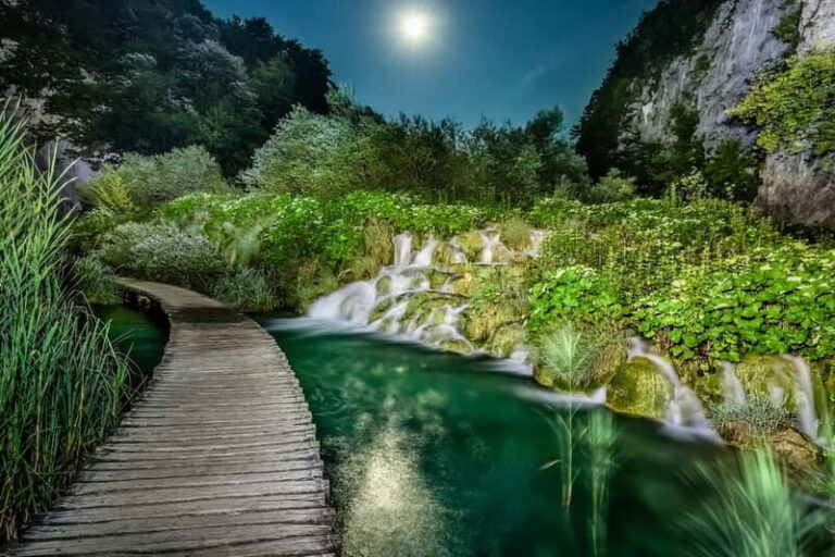 Plitvice Lakes: Guided Walking Tour with Bus and Boat Ride - An In-Depth Look at the Tour Experience