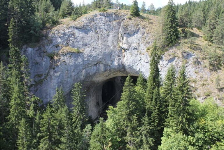 Plovdiv: Bachkovo Monastery, Asen Fortress, & Wonder Bridges - Who Will Love This Tour?