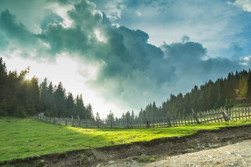 Plovdiv: Central Balkan National Park Guided Hike