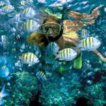 Plus Full Day Catamaran Tour to Isla Mujeres All Inclusive - Snorkeling and Water Activities