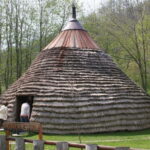 Podgorica: Biogradska Gora, Moraca and Kolasin Day Tour - What Makes This Tour Stand Out?