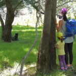 Podgorica Historic, Safari and Winery tour - Skadar lake - A Full Breakdown of the Montenegro Experience