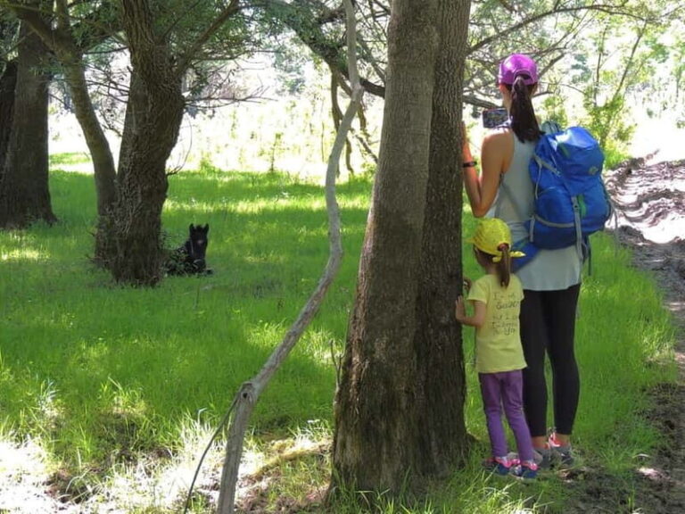 Podgorica Historic, Safari and Winery tour - Skadar lake - A Full Breakdown of the Montenegro Experience