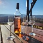 Podgorica: Panoramic Wine Tasting & Snack - Final Thoughts: Who Will Love This Tour?