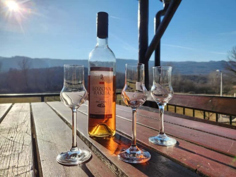 Podgorica: Panoramic Wine Tasting & Snack - Final Thoughts: Who Will Love This Tour?