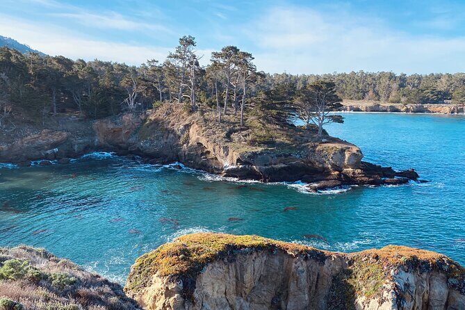 Point Lobos - A Private Charming Ocean Tour - Who Should Consider This Tour?