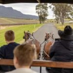 Pokolbin: Harvest the Hunter Horse Drawn Carriage Tour 3hrs - An In-Depth Look at the Harvest the Hunter Horse Drawn Carriage Tour