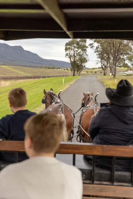 Pokolbin: Harvest the Hunter Horse Drawn Carriage Tour 3hrs - An In-Depth Look at the Harvest the Hunter Horse Drawn Carriage Tour