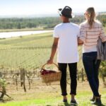 Pokolbin: Picnic & Wine Tasting at Audrey Wilkinson Vineyard - A Detailed Look at the Experience