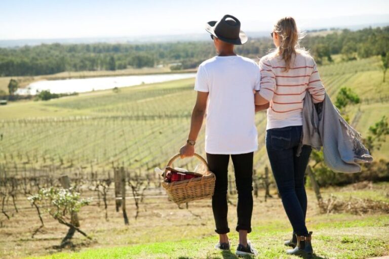 Pokolbin: Picnic & Wine Tasting at Audrey Wilkinson Vineyard - A Detailed Look at the Experience