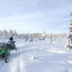 Polar Nature Tour on Snowmobile - Final Thoughts: Who Will Love This Tour?