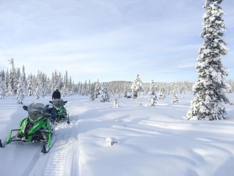 Polar Nature Tour on Snowmobile - Final Thoughts: Who Will Love This Tour?