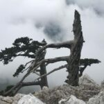 Pollino Hiking - day trips in the Pollino National Park - Exploring the Landscape of Pollino National Park