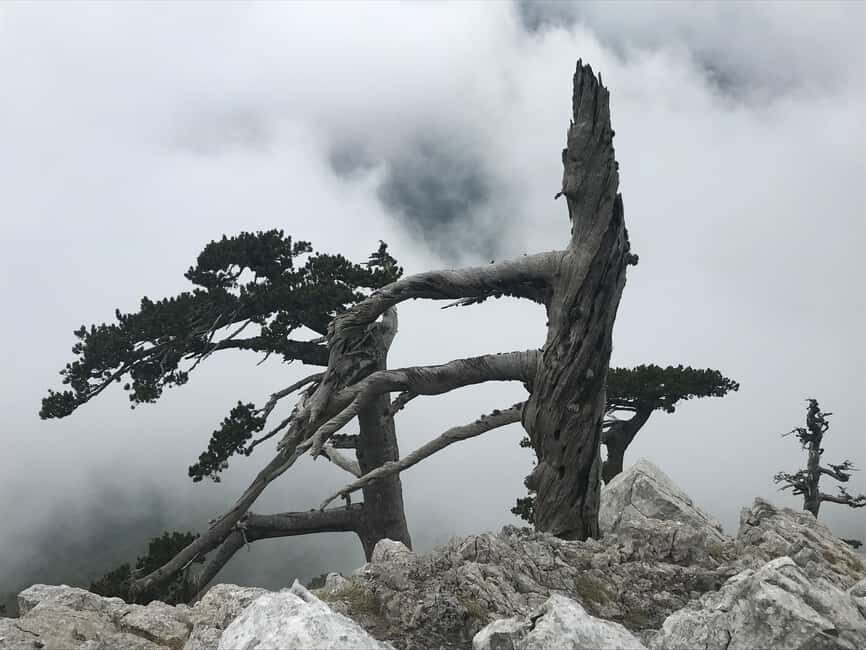 Pollino Hiking - day trips in the Pollino National Park - Exploring the Landscape of Pollino National Park