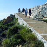 Poly's Island Guided Tour in Folegandros - Who Would Appreciate This Tour?