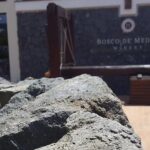 Pompei Archeological site and Wine tasting Experience - The Itinerary: A Closer Look