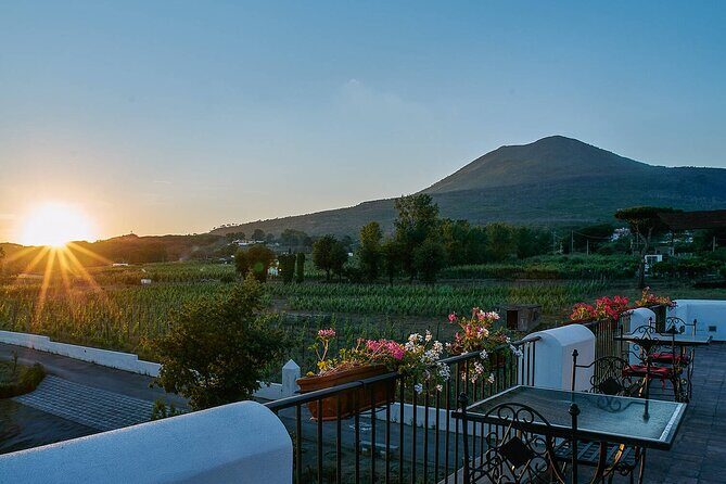Pompeii and Naples from Rome: Enjoy a Full-Day Tour with Lunch - Transportation & Group Dynamics