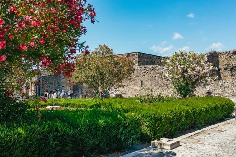 Pompeii: Archaeological Park Guided Tour - Who Should Consider This Tour?