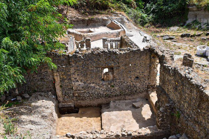 Pompeii Guided Tour & Lunch with Tasting at Two Vesuvian Wineries - Why This Tour Works