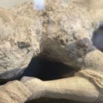 Pompeii: Guided Tour with Archaeologist with max. 12 People - Final Thoughts