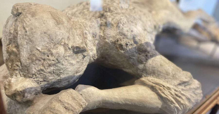 Pompeii: Guided Tour with Archaeologist with max. 12 People - Final Thoughts