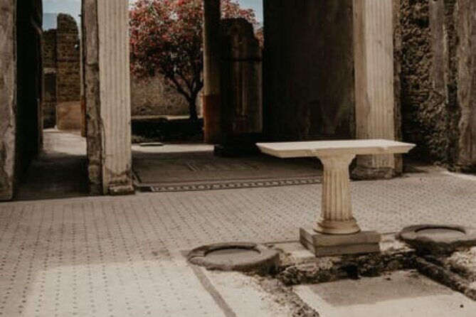Pompeii Guided Tour with Train Included from Rome - Exploring the Details: A Closer Look at the Pompeii Guided Tour