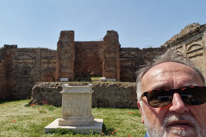 Pompeii, Herculaneum and Sorrento Private Day Tour from Rome - What Travelers Are Saying