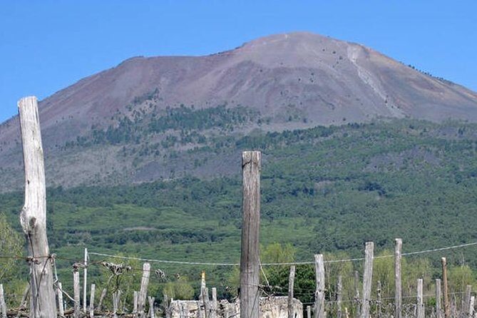 Pompeii, Herculaneum and Vesuvius Private Guided Tour - Exploring the Tour in Detail