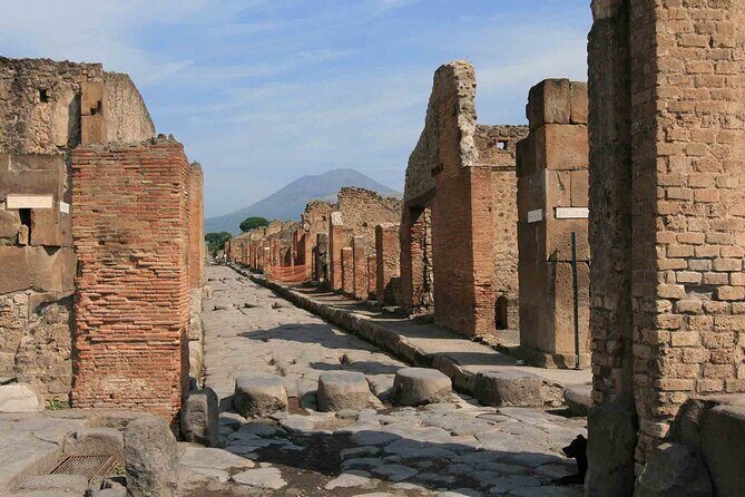 Pompeii & Herculaneum Day Trip from Naples with Lunch - FAQ
