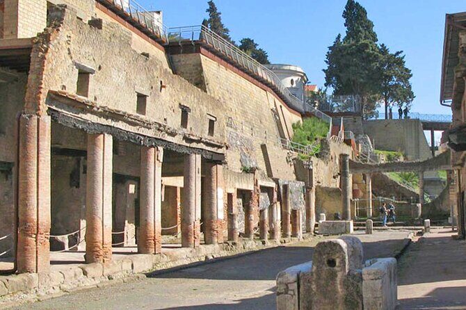 Pompeii & Herculaneum Private Tour: Fast-Track, Winery & Lunch - Final Thoughts: Is This Tour Right for You?