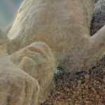 Pompeii & Herculaneum - Skip the line from Sorrento - Who Will Love This Tour?
