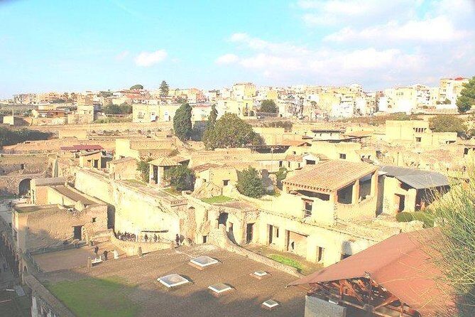 Pompeii & Herculaneum Trip from Rome with Hotel Pick Up & Skip-the-Line Tickets - Who Should Book This Tour?