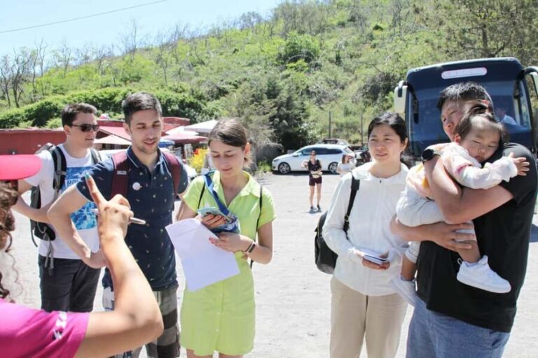Pompeii: Mount Vesuvius Bus Transfer with Audioguide - What Makes This Tour Stand Out