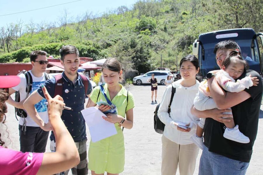 Pompeii: Mount Vesuvius Bus Transfer with Audioguide - What Makes This Tour Stand Out