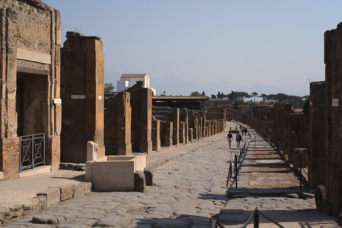 Pompeii & Mount Vesuvius Private Tour with Guide - Practical Tips for Booking and Preparing