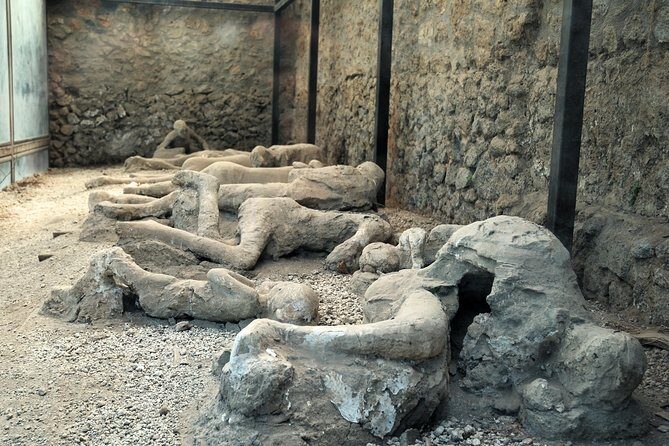 Pompeii, Mt. Vesuvius, Herculaneum Private Tour - Practical Tips for Making the Most of This Tour