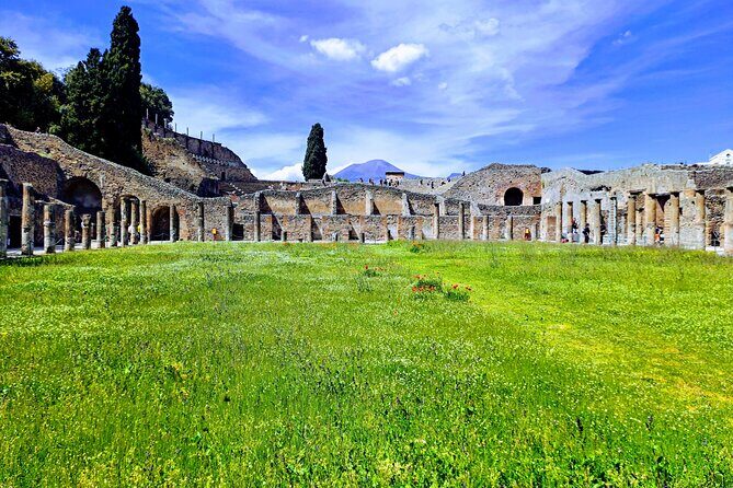 Pompeii Private Guided Tour from Naples - Who Should Book This Tour?