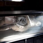 Pompeii: Skip-the-Line Guided Tour with Expert Archaeologist - Who Will Love This Tour?