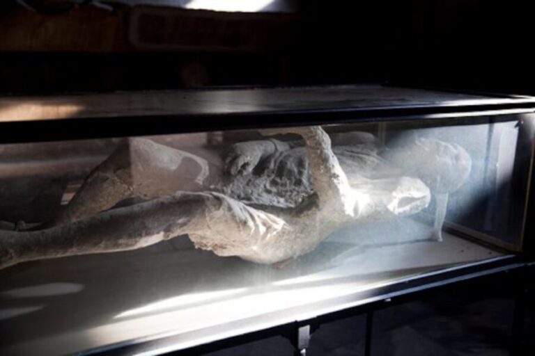 Pompeii: Skip-the-Line Guided Tour with Expert Archaeologist - Who Will Love This Tour?